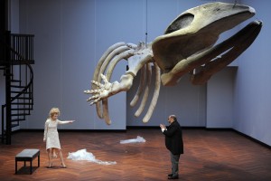 54448 473393180515 6925739 o