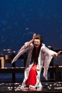 Butterfly NJ 2011 (38)